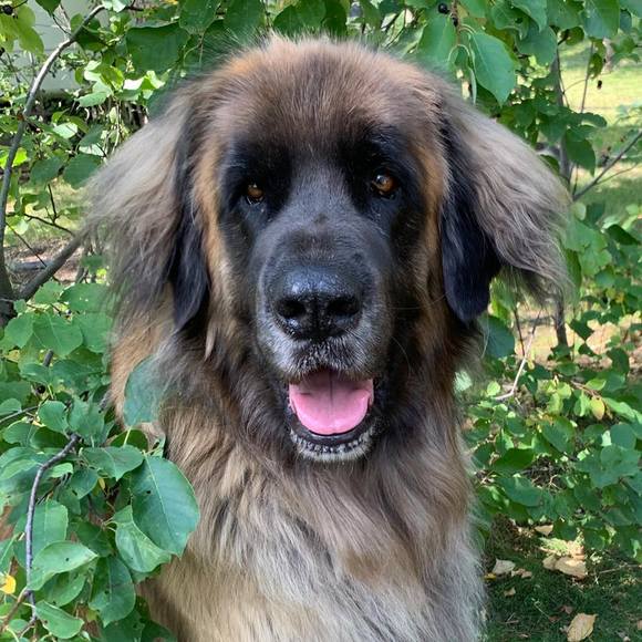 Meet your Posher, Brandi - Picture 1 of 1